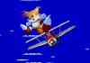 Tails with the sonic airplane